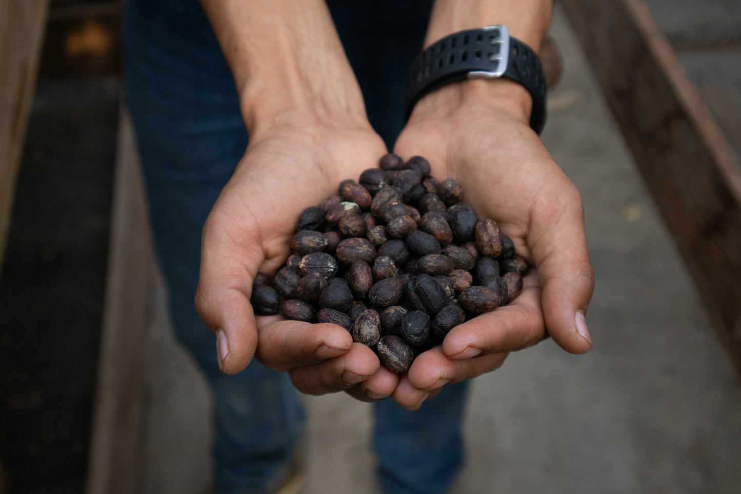 Guatemalan OG Blend: Medium Roast