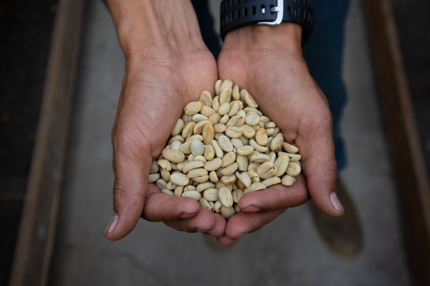 Guatemalan OG Blend: Medium Roast