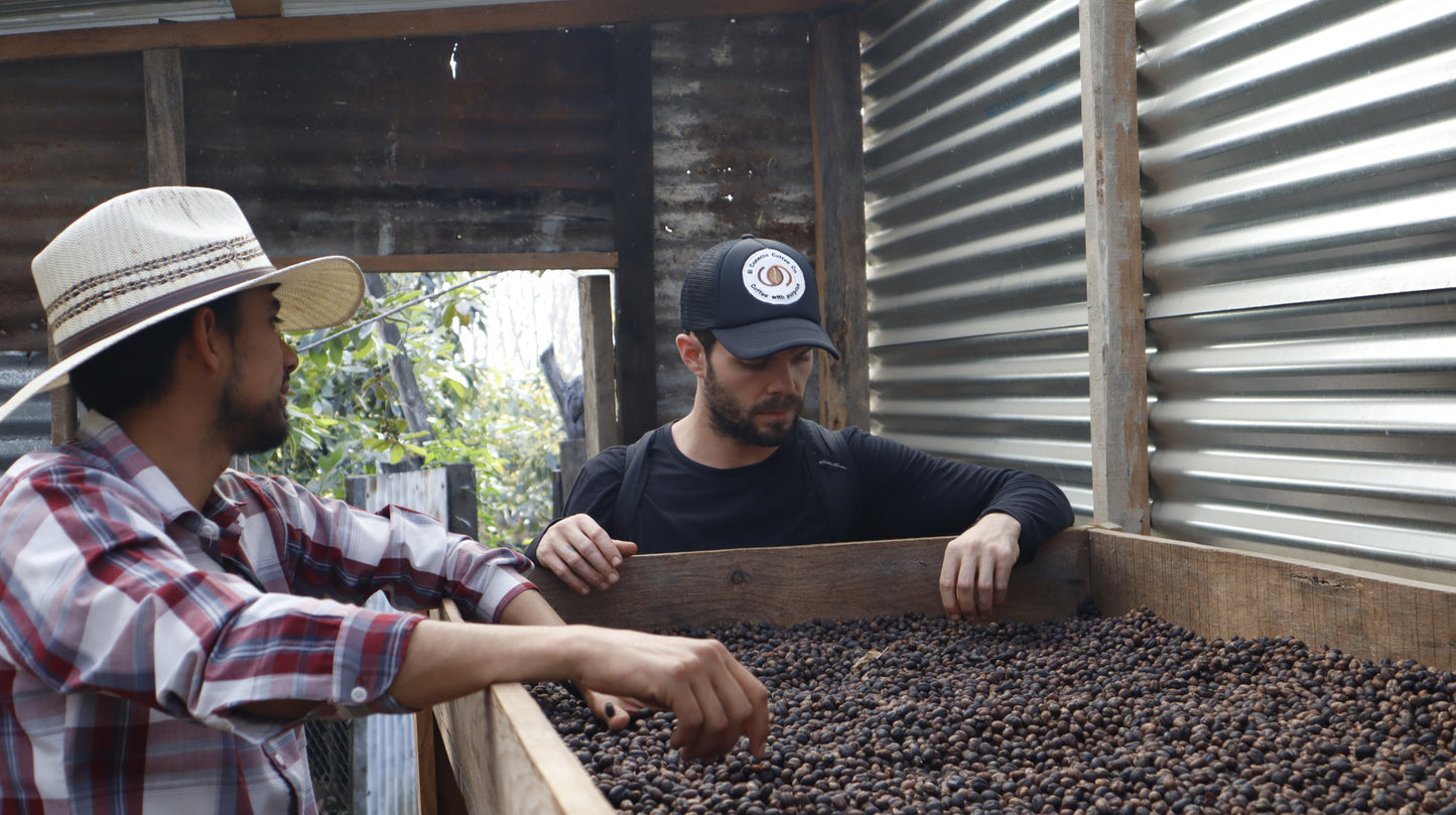 Marsellesa-Farmlevel Reserve: Light Roast
