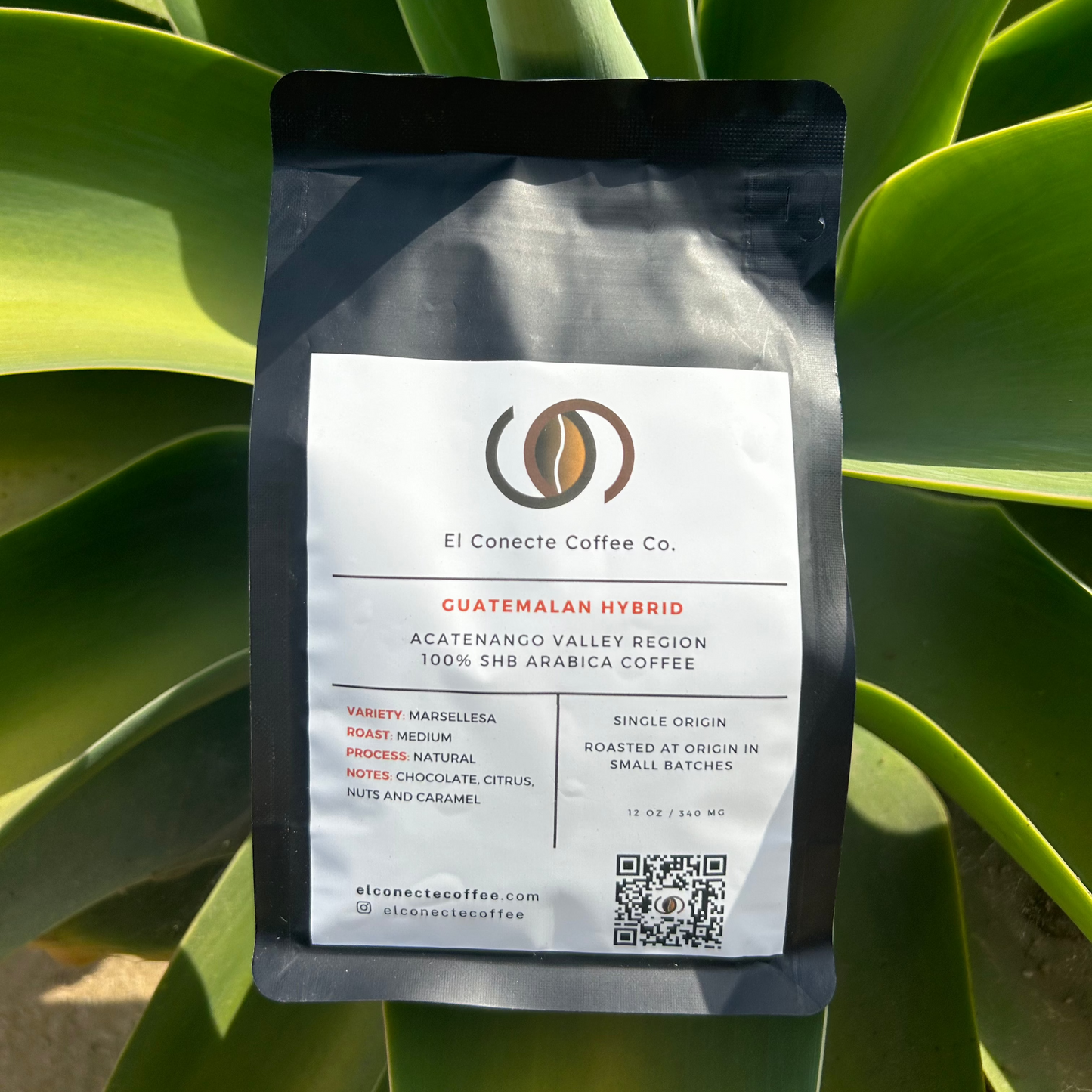 Marsellesa-Farmlevel Reserve: Light Roast