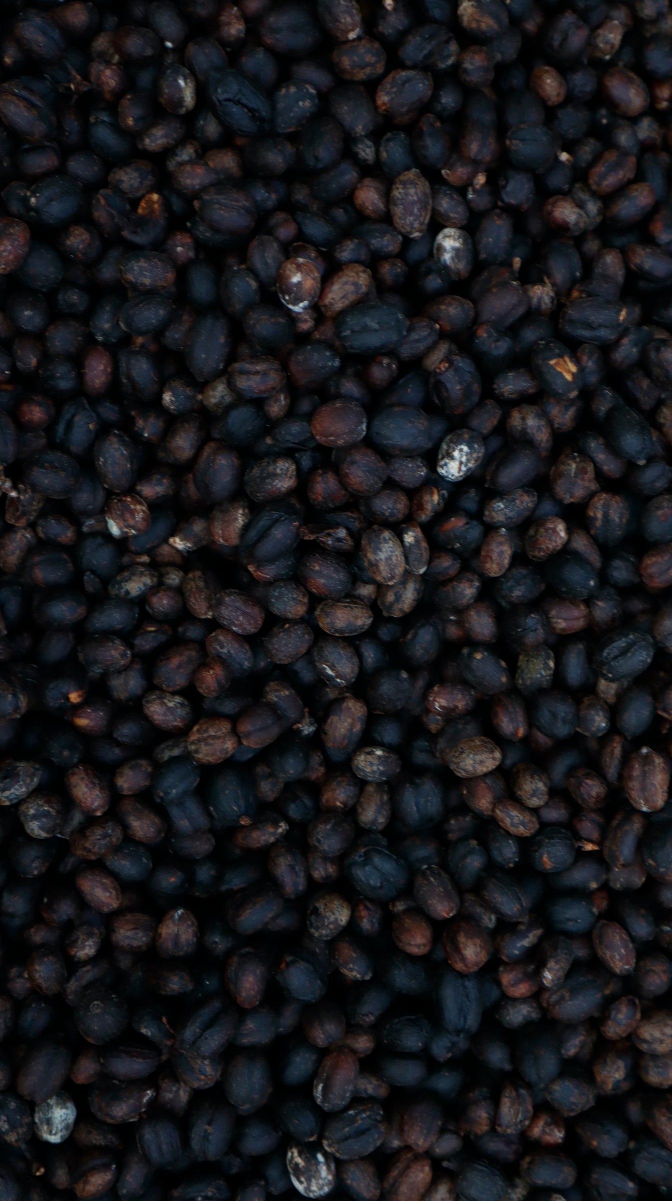 Floral Guatemala: Light Roast