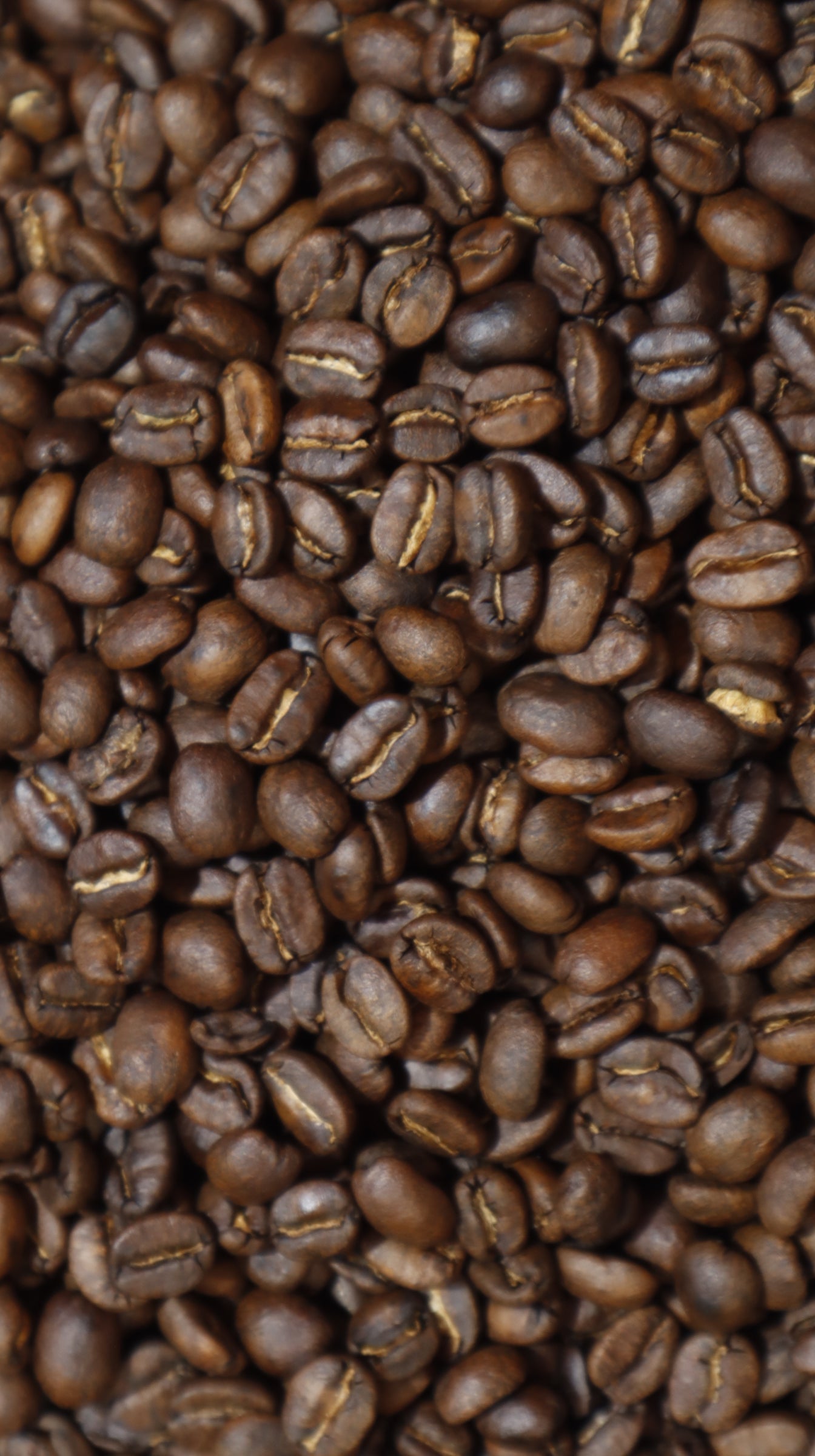 Guatemalan Dark Roast