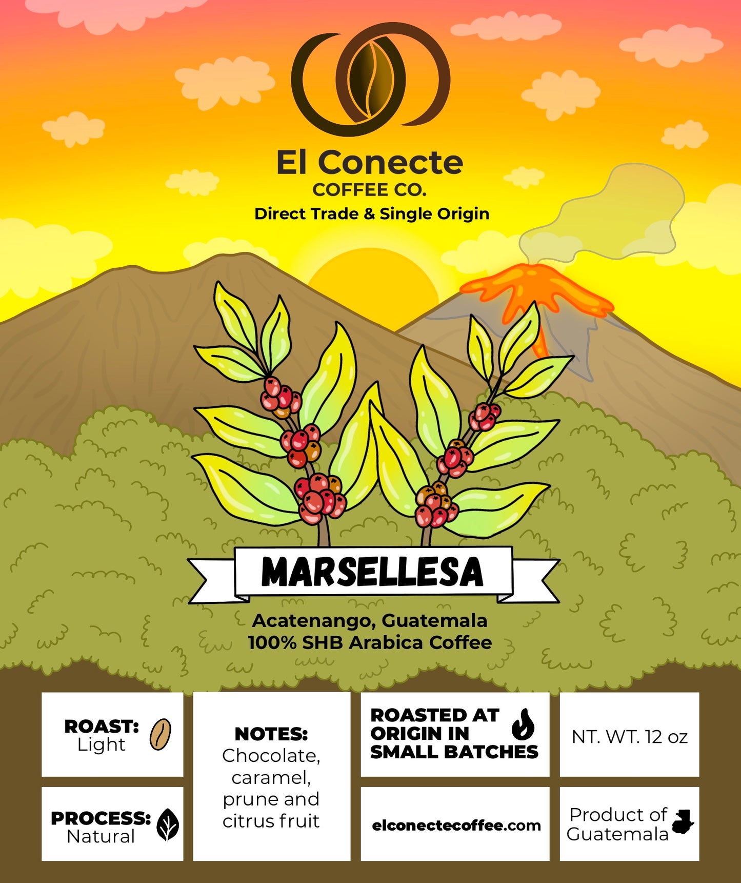Marsellesa-Farmlevel Reserve: Light Roast