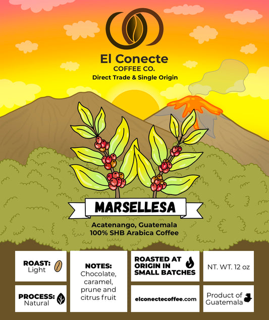 Marsellesa-Farmlevel Reserve: Light Roast